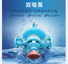 雙(shuang)吸泵